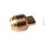 Porta teflon grifo  rosca fina